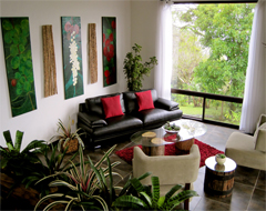 Домашние растения – это украшение вашей квартиры